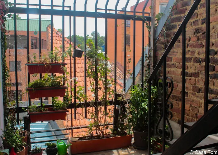 Casa Tomasa